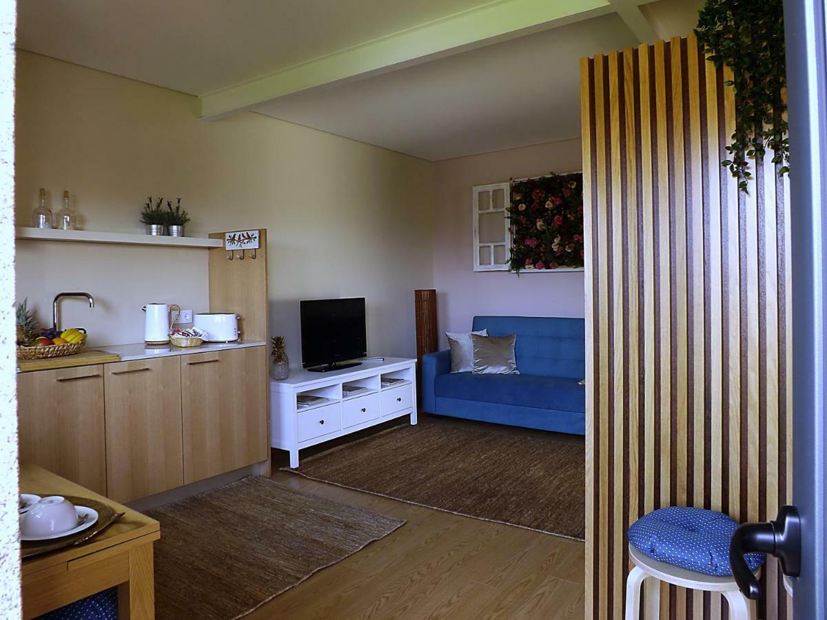 Casa Maximo Apartment Penafiel Luaran gambar