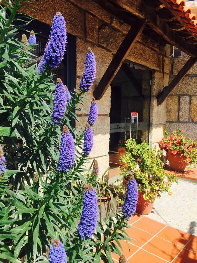 Casa Maximo Apartment Penafiel Luaran gambar